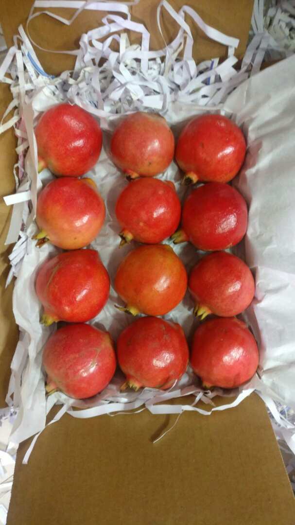 2020 Crop Dark Red Pomegranate - Weight 2.8 Kg, Sweet Taste, Dark Cherry Red Arils, Organic Cultivation, Whole Fruit, Ideal For Snacking