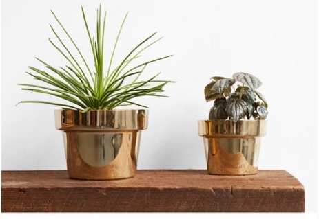 Decorative Brass Planters - 4 To 16 Inch Dimensions | High-quality Home And Balcony Decorative Solutions
