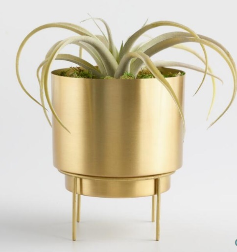Decorative Brass Planters - 4 To 16 Inch Dimensions | High-quality Home And Balcony Decorative Solutions