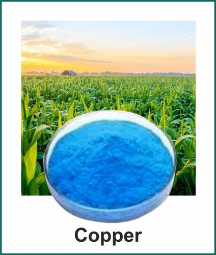 Cu-EDTA Water Soluble Fertilizer - Cu-13% Light Blue Powder | Non-Toxic Pest Control with 98% Purity, Optimal pH 6.5-7.0