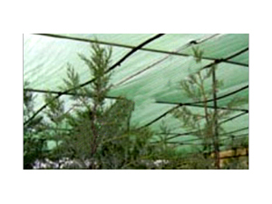 बड़े पैमाने पर छाया घर जाल