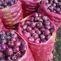 Fresh Red Onion