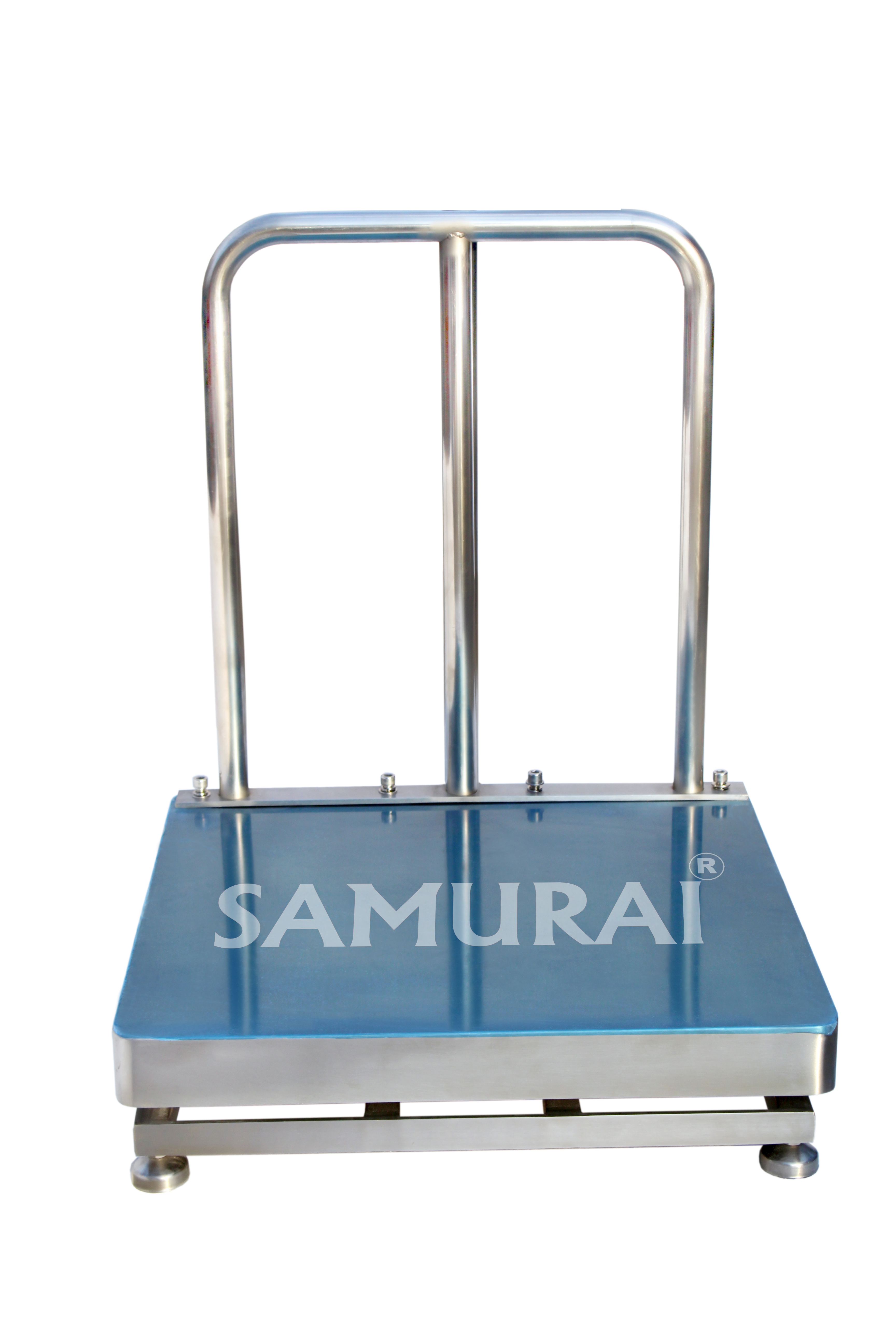 Flame Proof Platform Scale