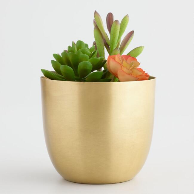 Medium Brass Planter Dimensions: 5"dia. X 4.5"h Inch (In)