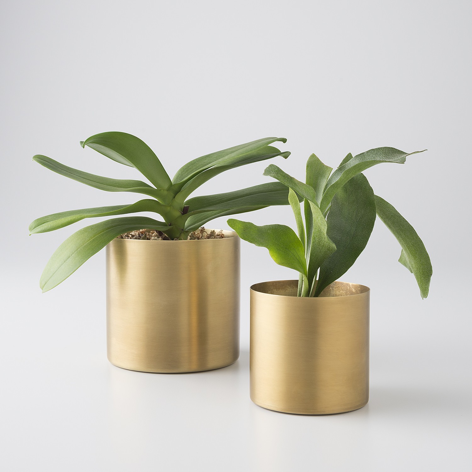 Citta Gava Planter Set Of 2 Brass Dimensions: 12a 11/19x16cmh Centimeter (Cm)