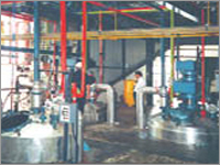 Grease Plant