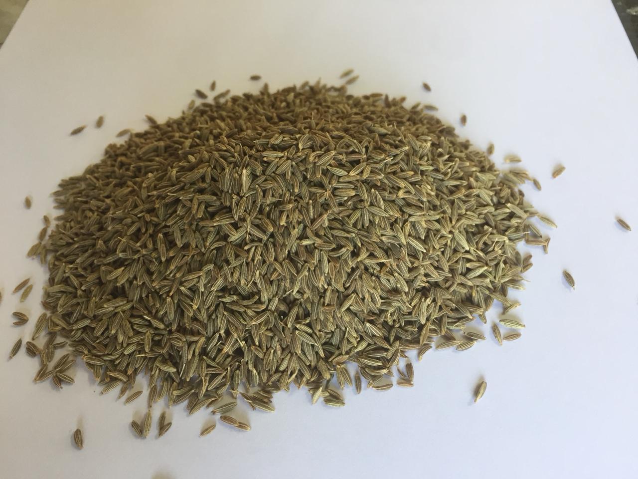 Cumin Seeds
