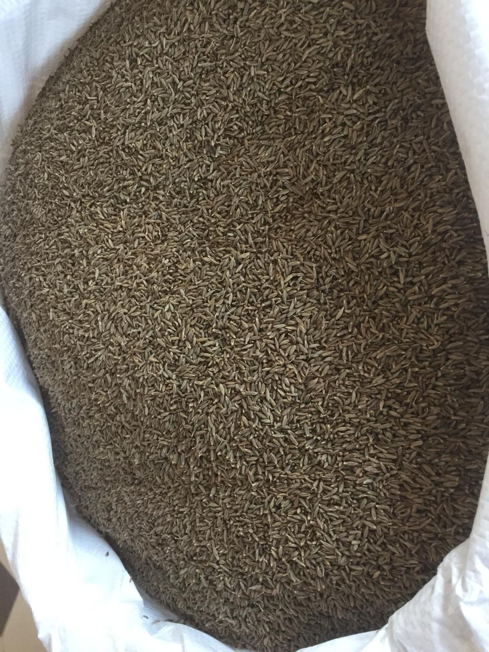 Cumin Seeds