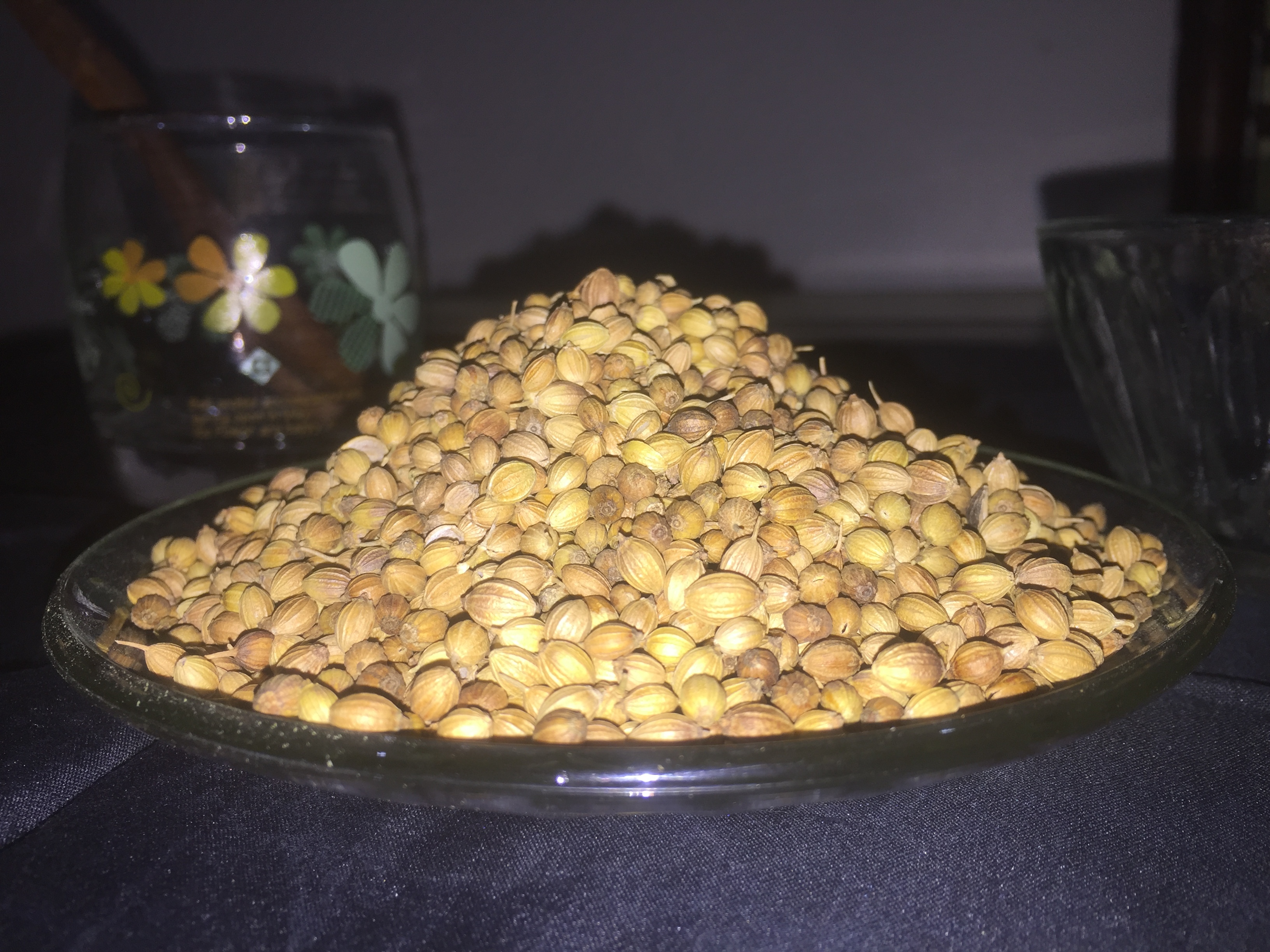 Coriander Seeds