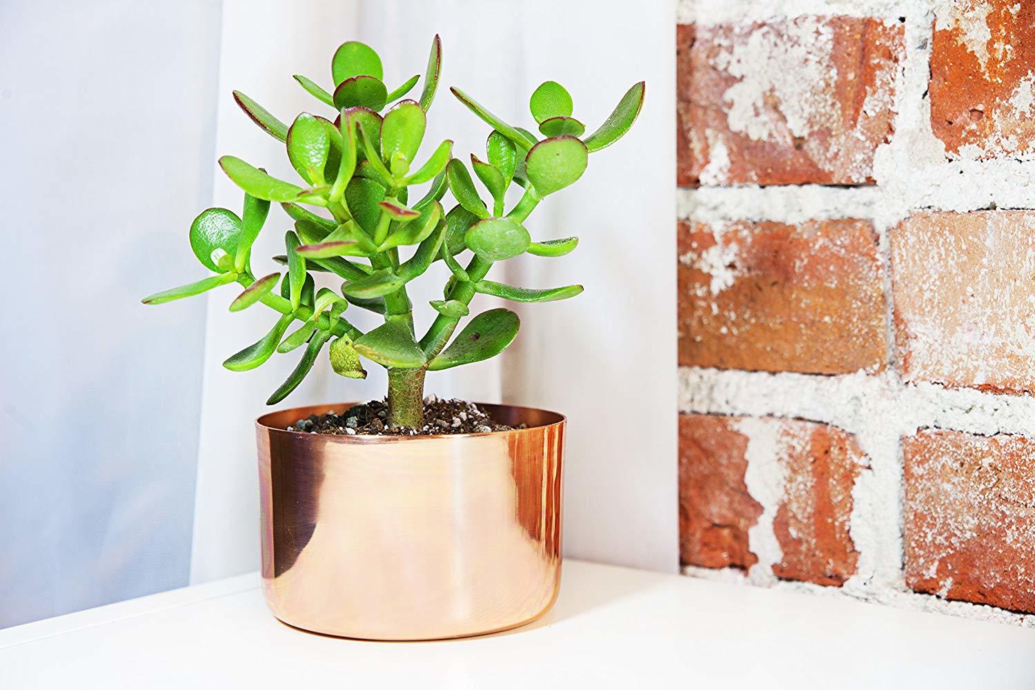 Silver Plain Classic Nickel Planter Set Of 3