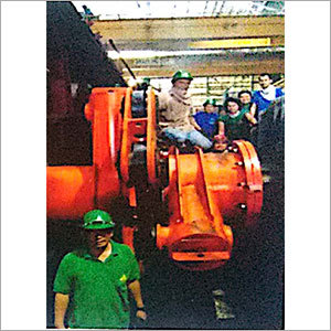 Eurogear Polyester Sling Rope Coupling With Torque Arm
