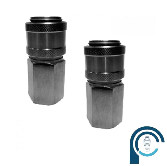 प्रकार महिला युग्मक के माध्यम से