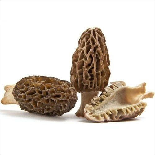 500 gm Morel Mushroom