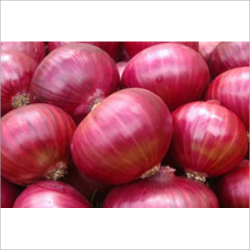 ताज़ा प्याज