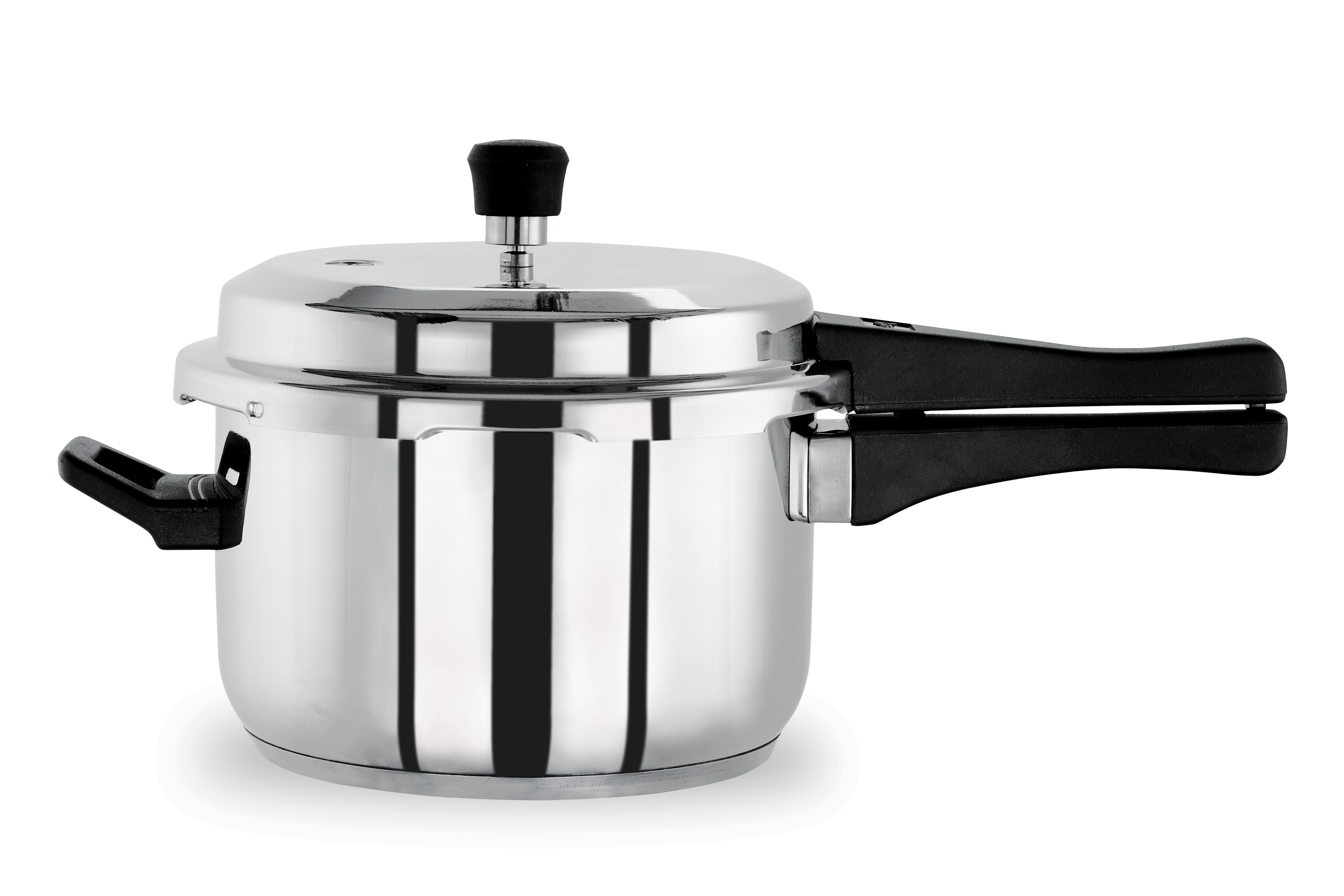 Stainless Steel Pressure Cooker
