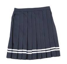 Plated Skirt - Polyester, Multiple Sizes - Brown, Knee-length, Elastic Waist, Zipper Closure, Machine Washable