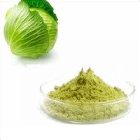 पत्तागोभी का पाउडर