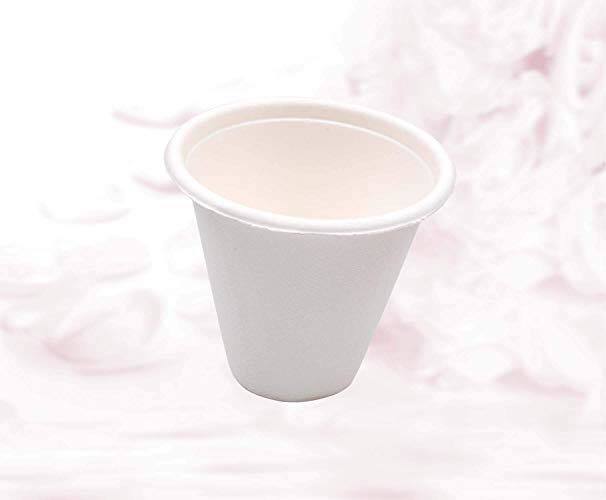 Bagasse Sugarcane Cup