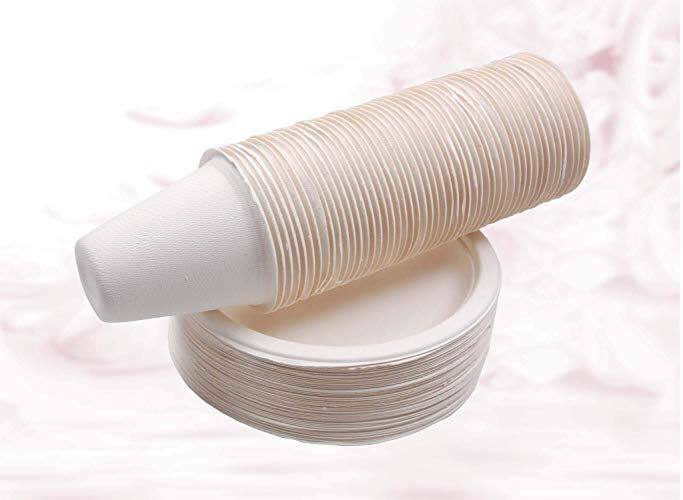 Bagasse Sugarcane Cup