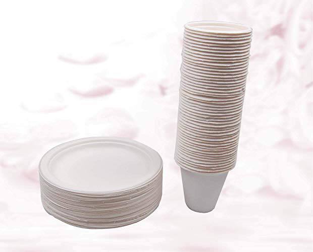 Bagasse Sugarcane Cup