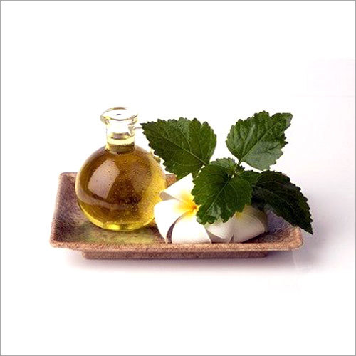 Patchouli Oil
