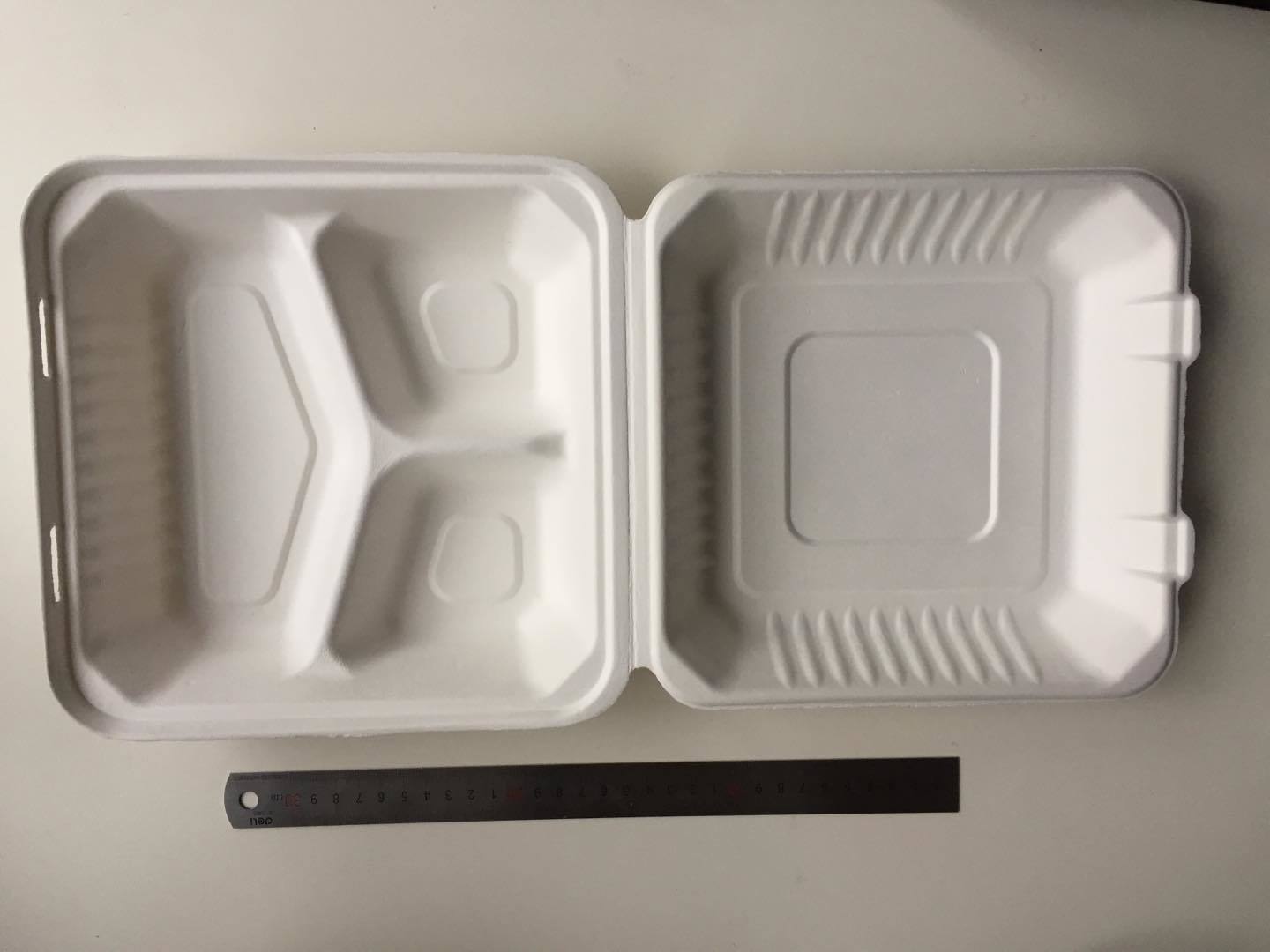 Bagasee Sugarcane Lunch Boxes