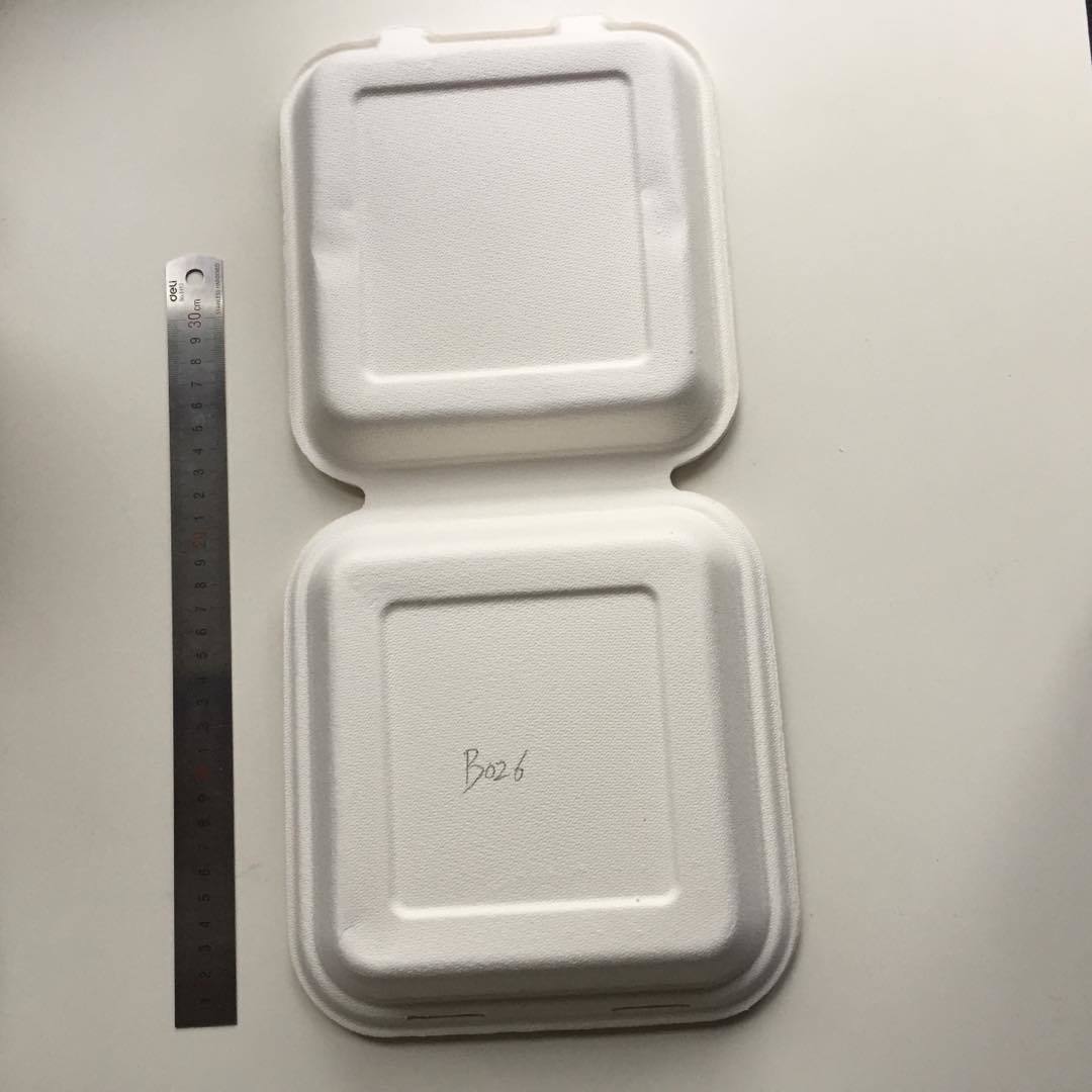 Bagasee Sugarcane Lunch Boxes