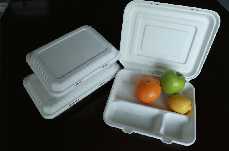 Bagasee Sugarcane Lunch Boxes