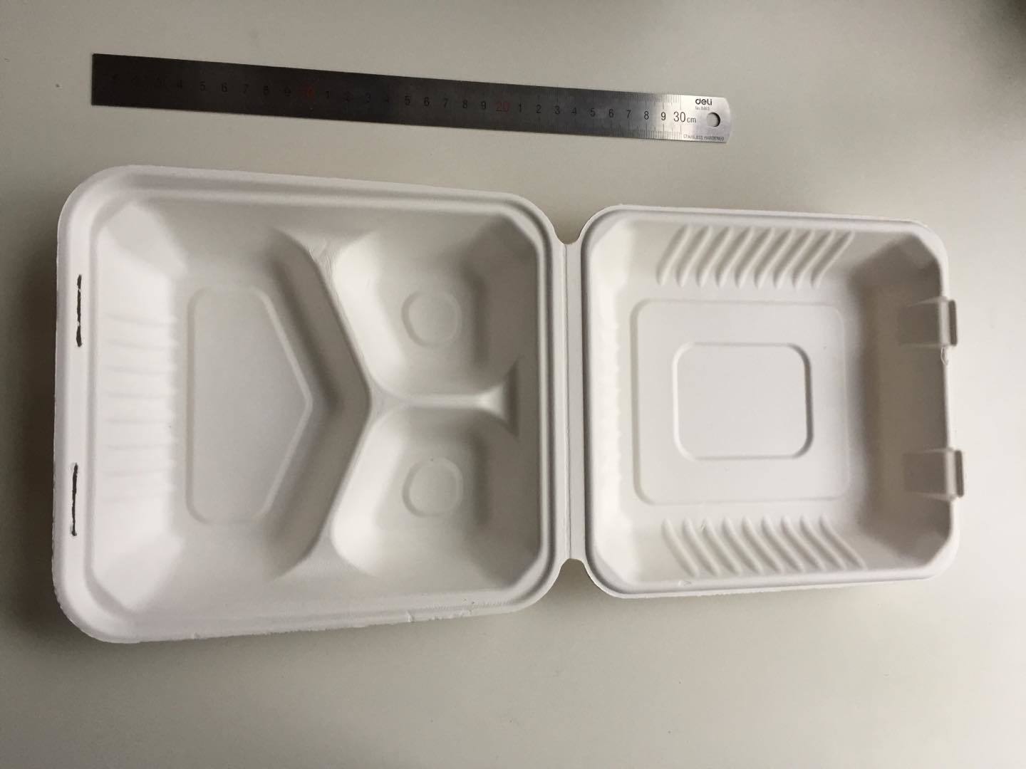 Bagasee Sugarcane Lunch Boxes