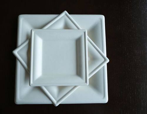 Bagasee Sugarcane Square Plates