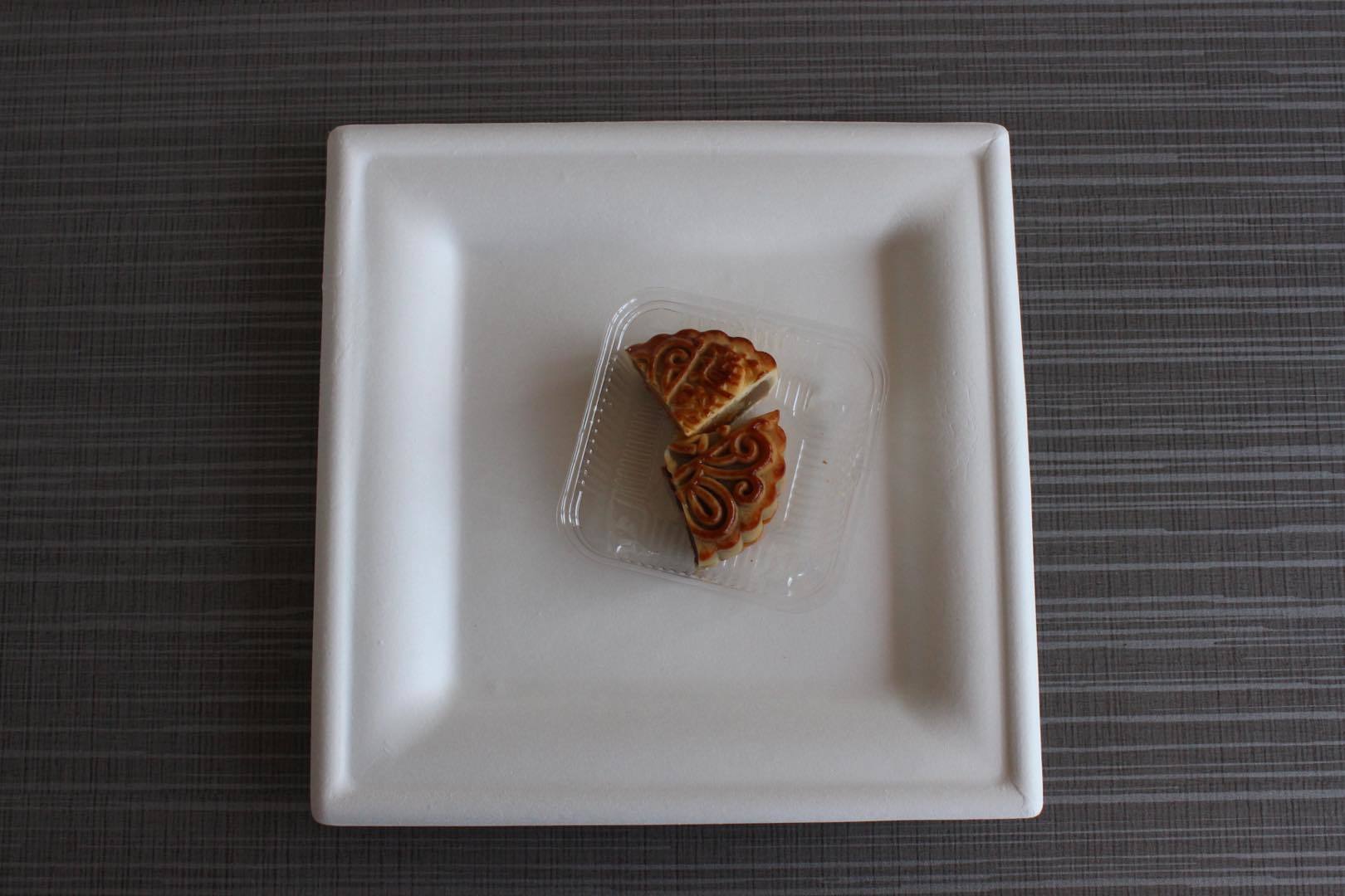 Bagasee Sugarcane Square Plates