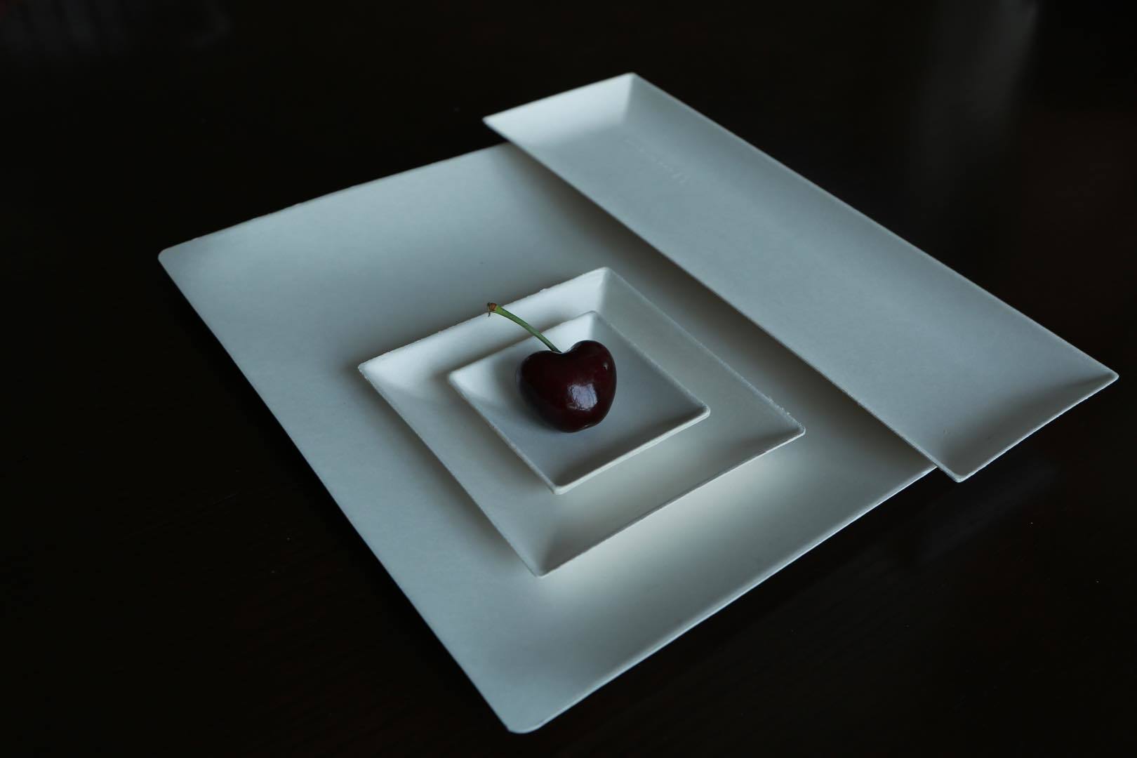 Bagasee Sugarcane Square Plates