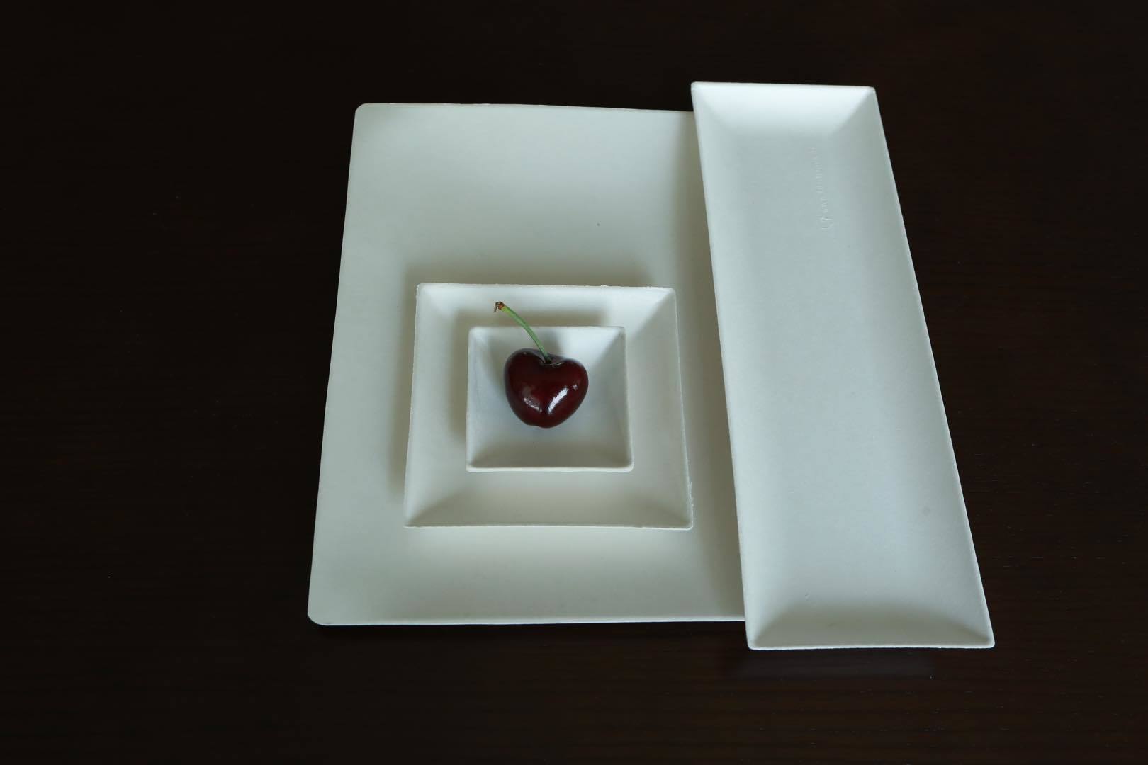 Bagasee Sugarcane Square Plates