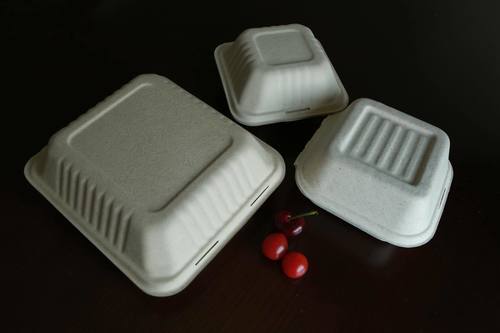 Bagasse Sugarcane Hamberger Box