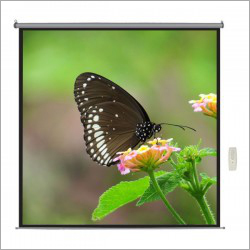 100 इंच मोटरयुक्त प्रोजेक्टर स्क्रीन