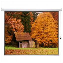 250 इंच की विशाल प्रोजेक्टर स्क्रीन