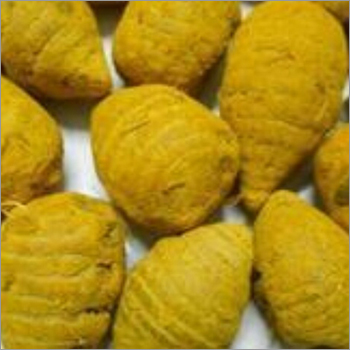 ताजा हल्दी की जड़