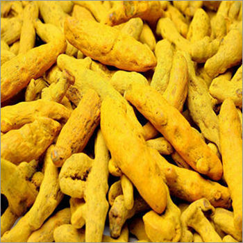 Fresh Turmeric