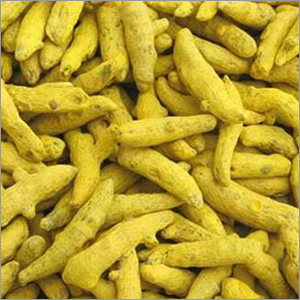 Organic Raw Turmeric