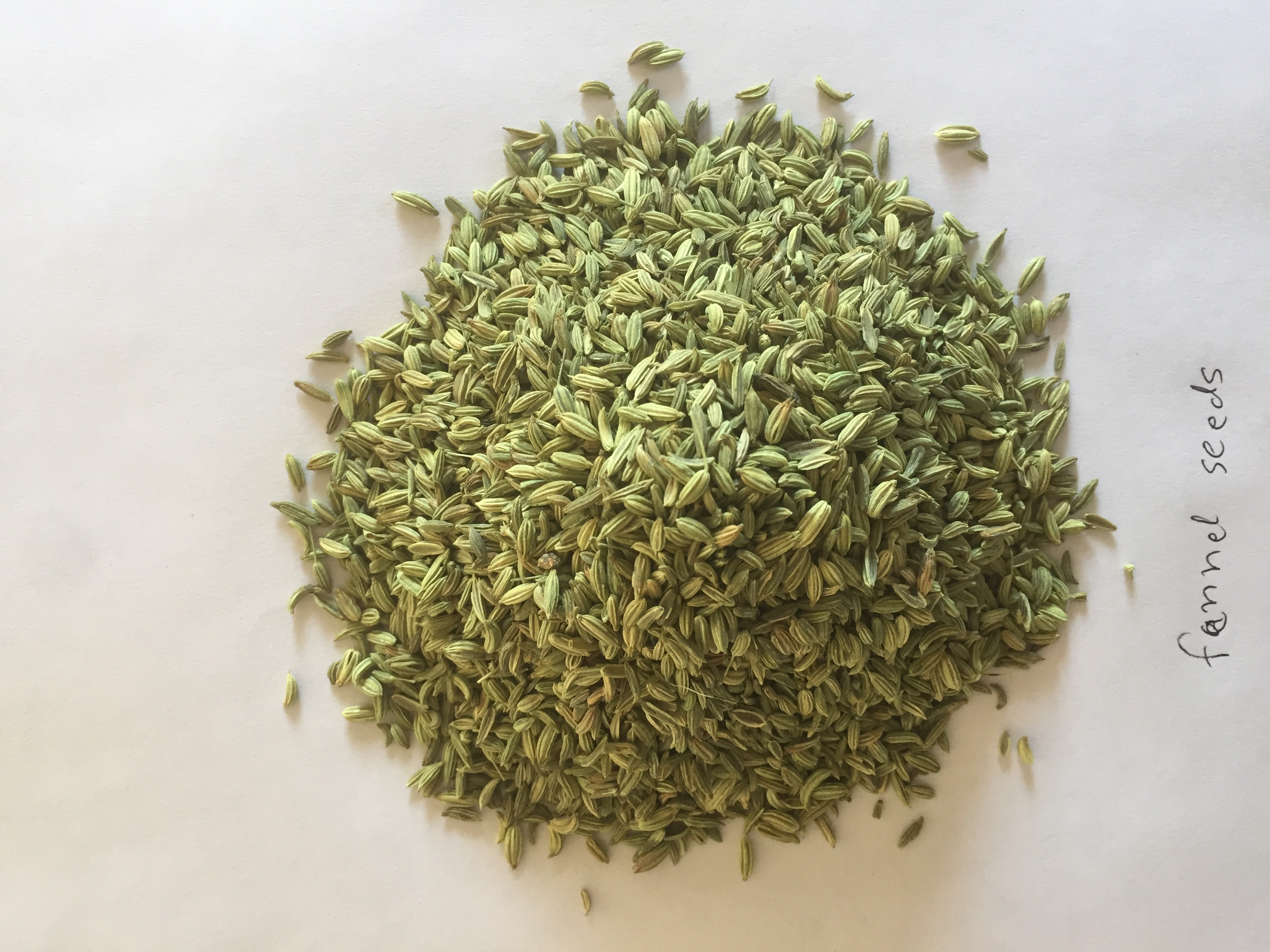 Fennel Seeds