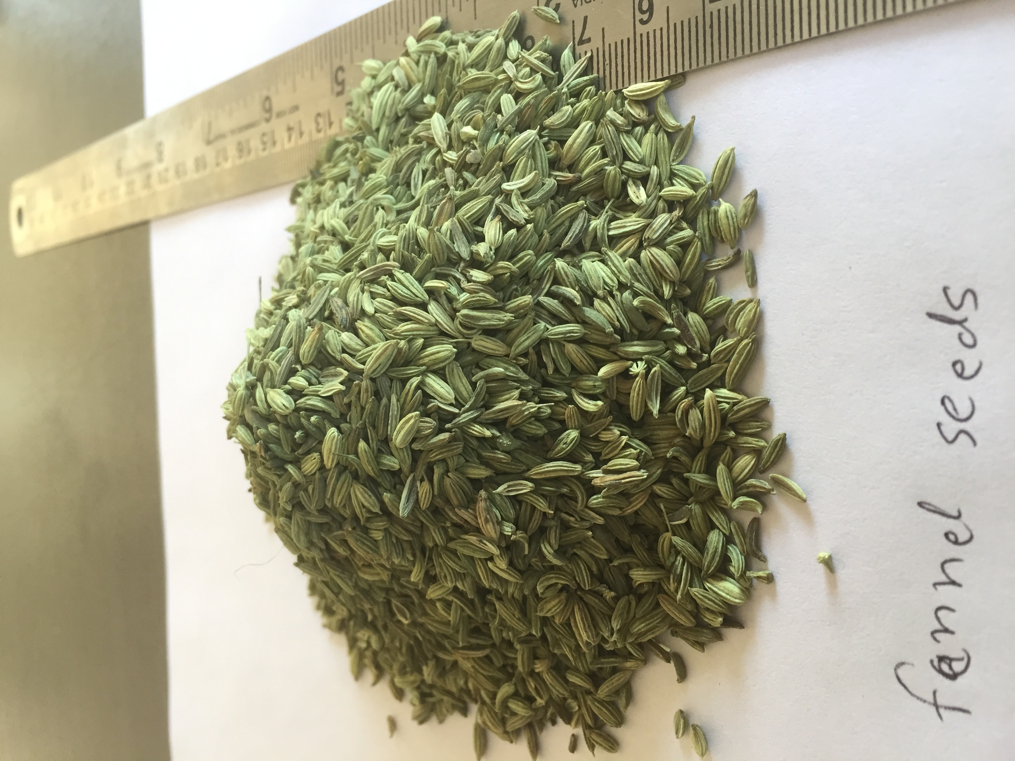 Fennel Seeds