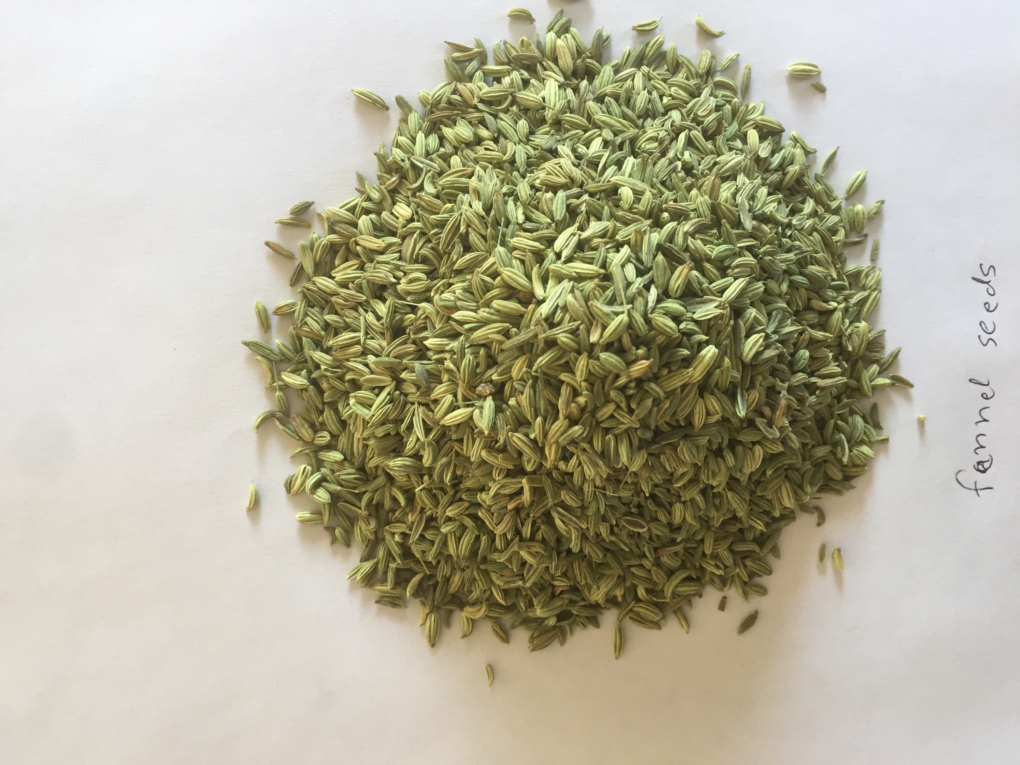 Fennel Seeds