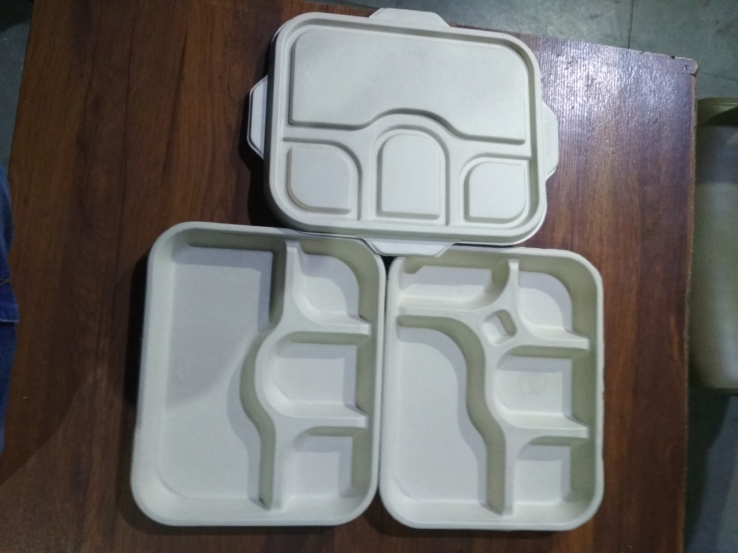 Sugarcane Bagasse 4cp Meal Tray