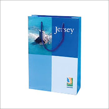 प्रिंटेड शॉपिंग पेपर बैग