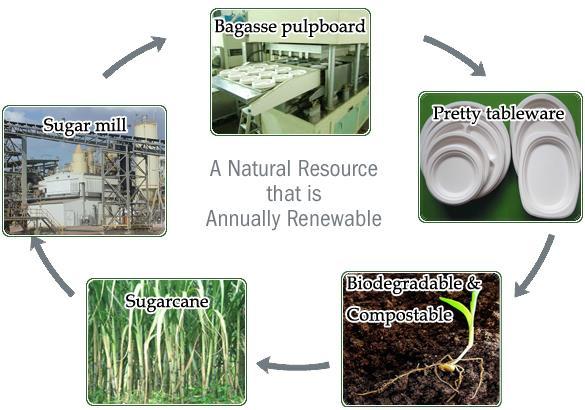Bagasse Pulp Food Container Making Machine Application: Cutlery