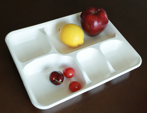 Bagasse Sugarcane Trays Degradable