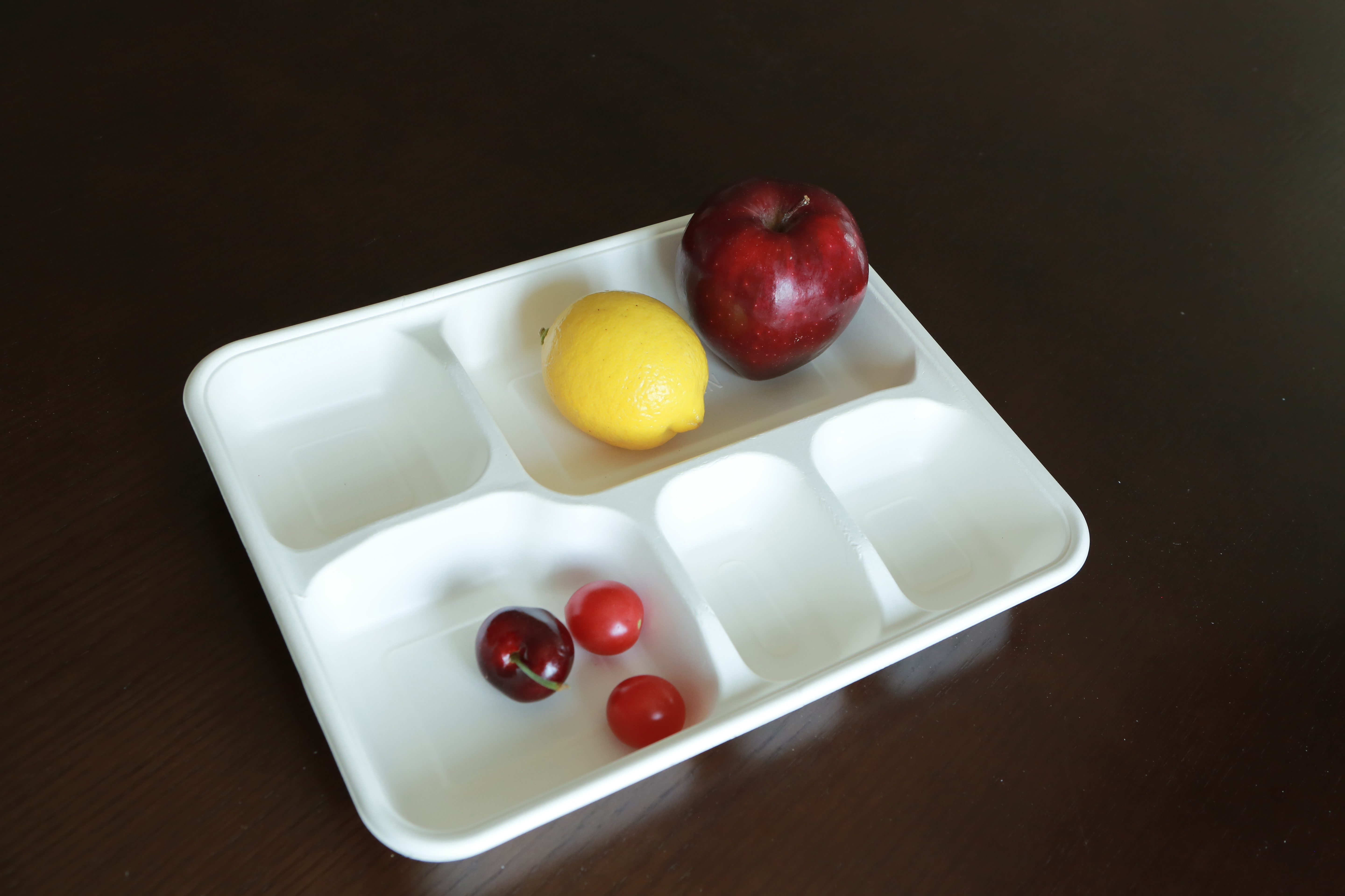 Bagasse Sugarcane Trays Degradable