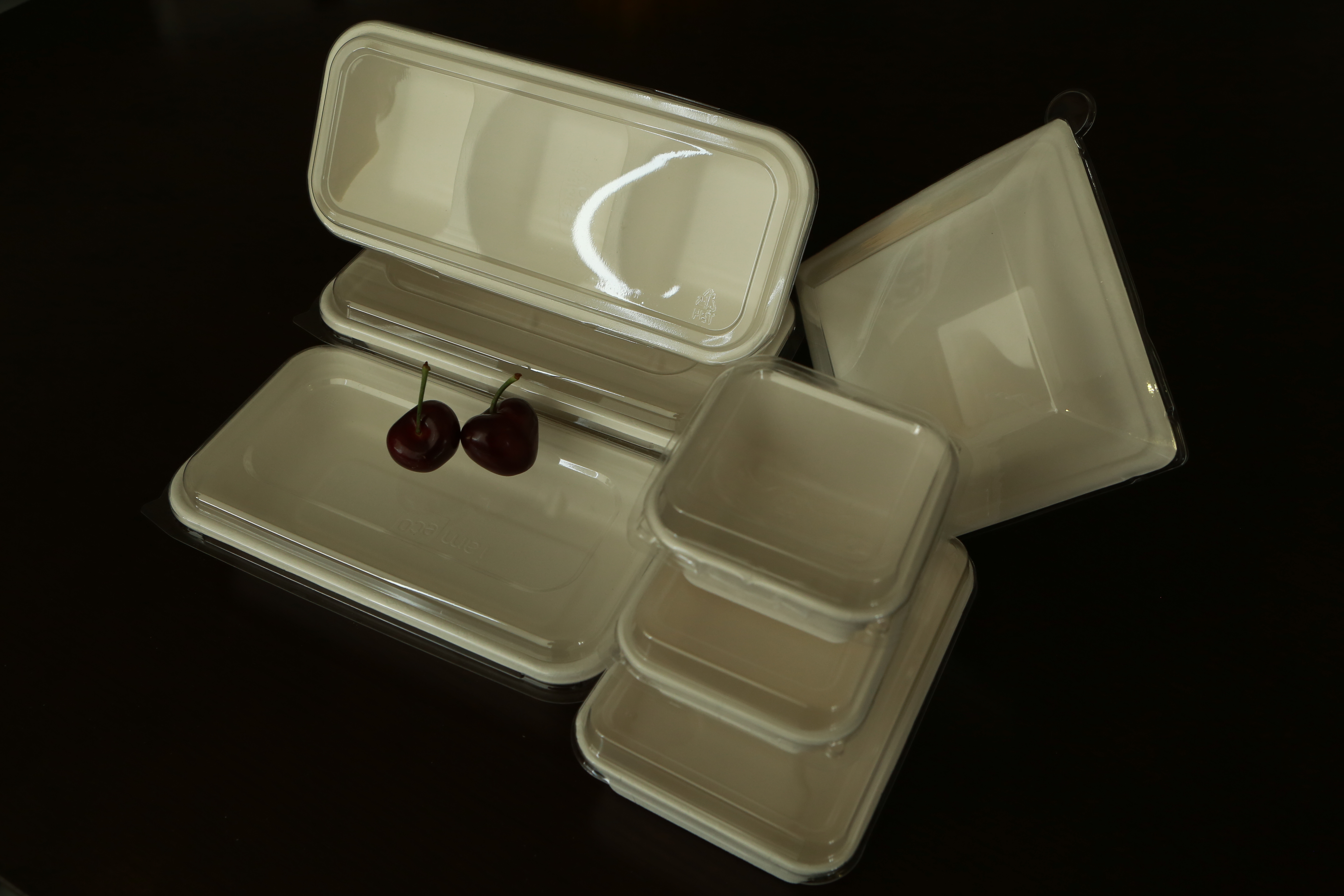 Bagasse Sugarcane Trays Degradable