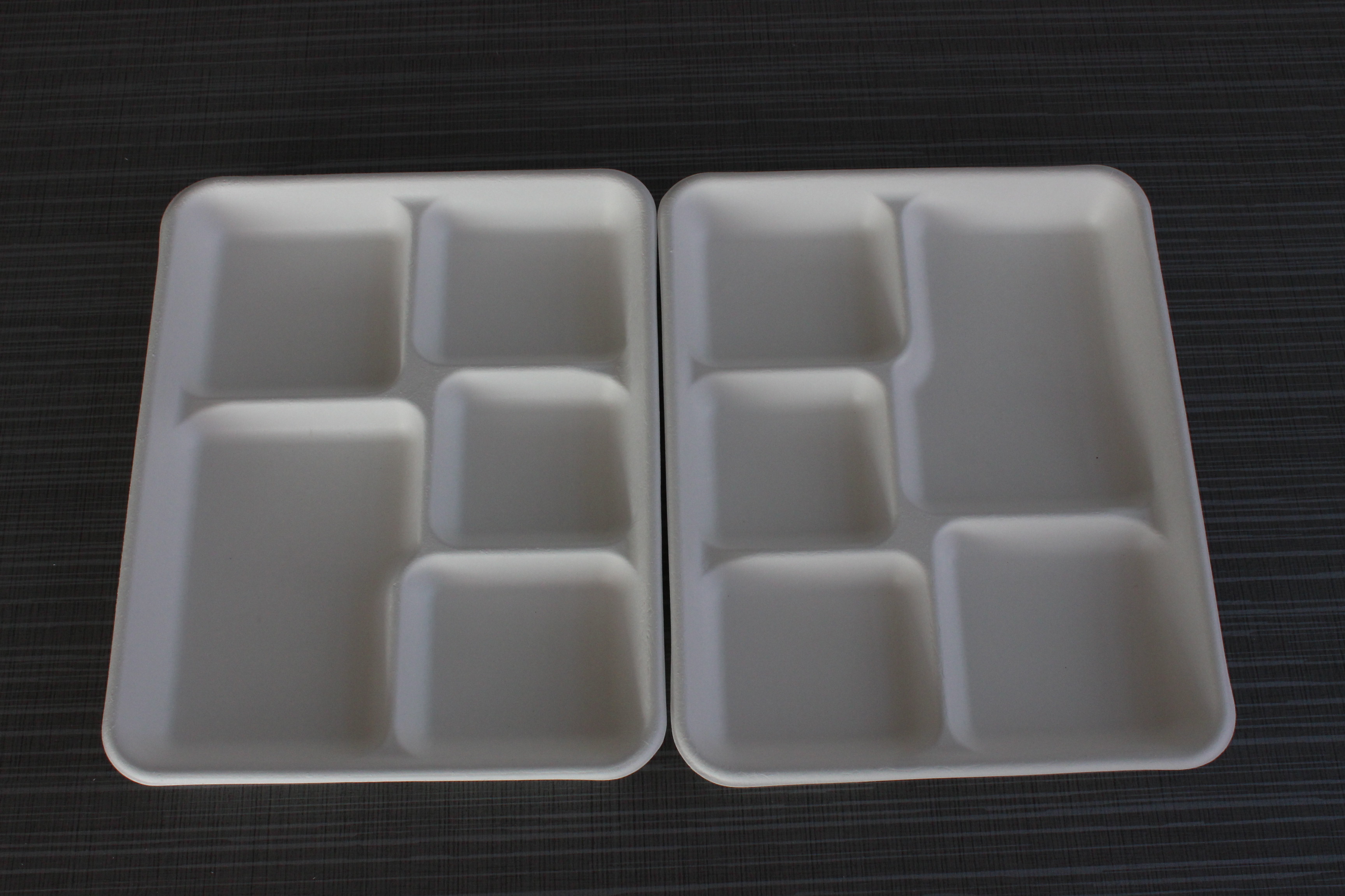 Bagasse Sugarcane Trays Degradable