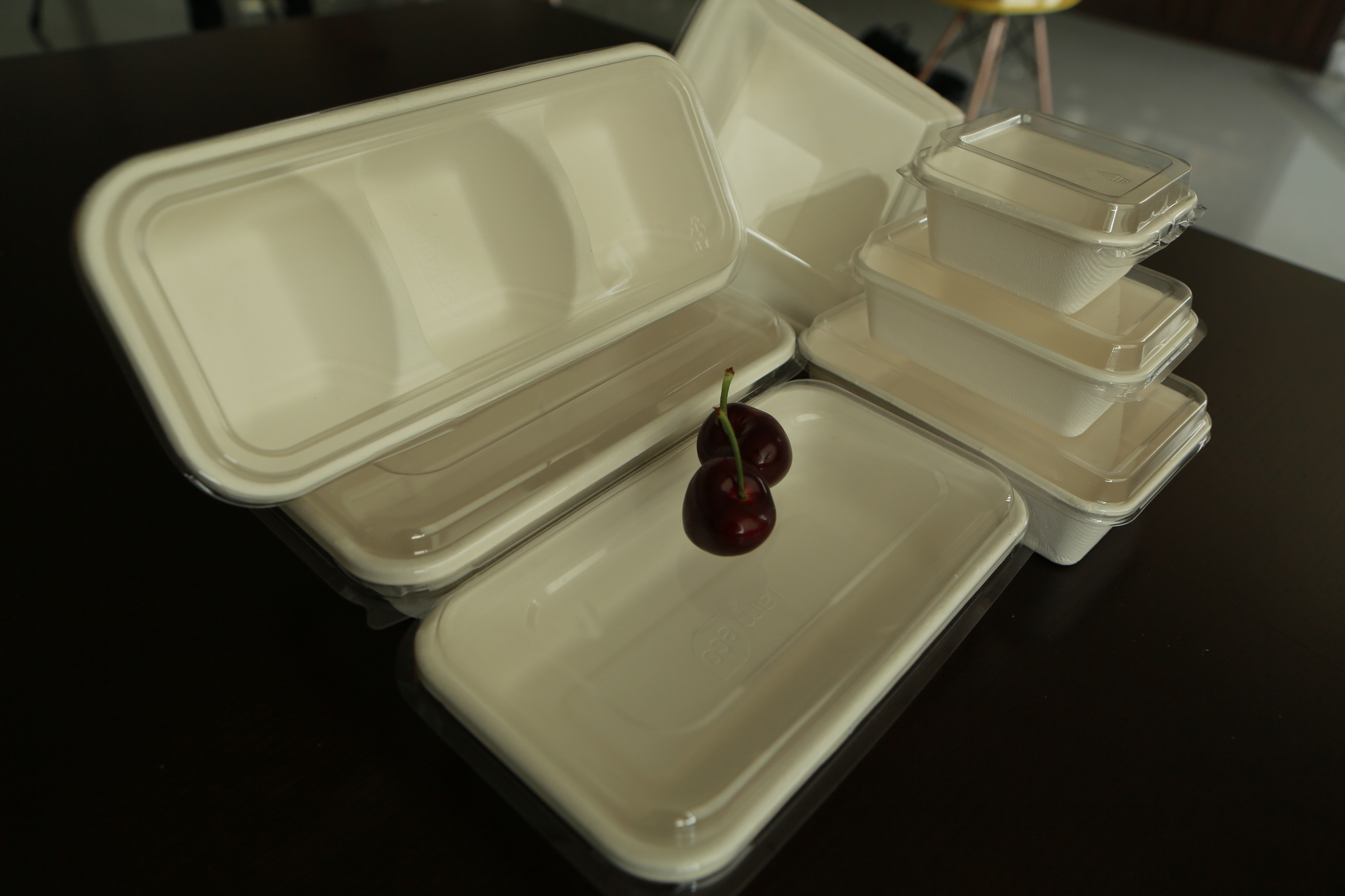 Bagasse Sugarcane Trays Degradable